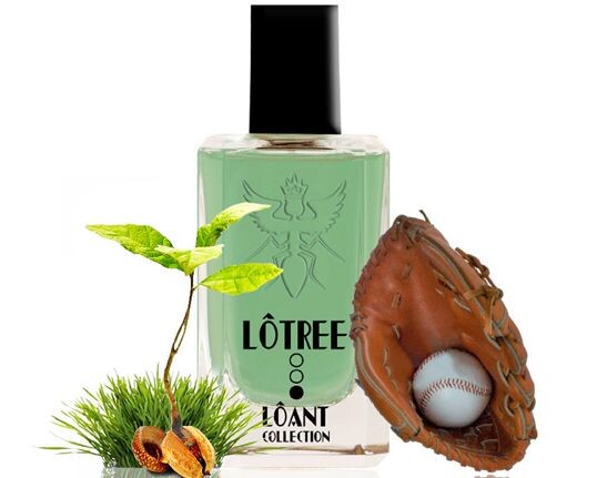 3_Lotree.jpg 3_Lotree.jpg