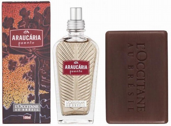 2_LOccitane en Provence_ Araucaria Poente_line.jpg