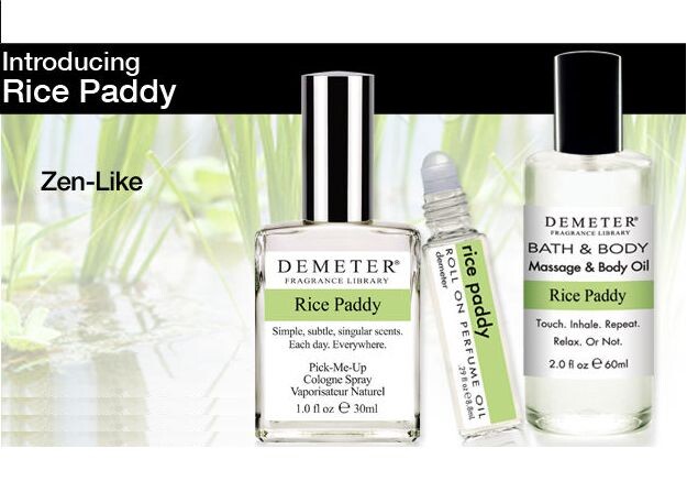 Rice Paddy_complect.jpg