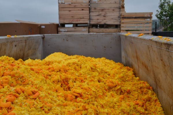 Orange waste.JPG