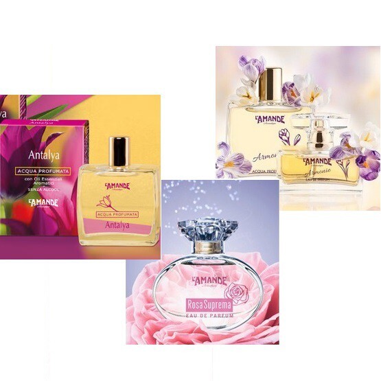 L Amande_fall_2016.jpg