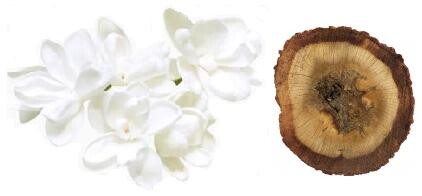 5_White flowers and oud.jpg