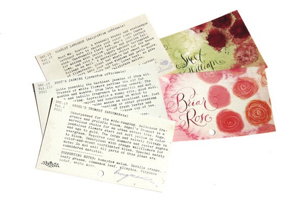 4_Scent Library_description.jpg