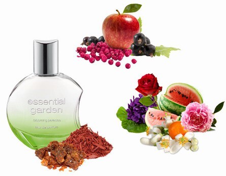 2_Blooming Paradise_notes.jpg