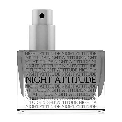 Night Attitude Otoori .jpg