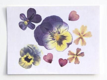 2_picture for Grey Garden.jpg 2_picture for Grey Garden.jpg