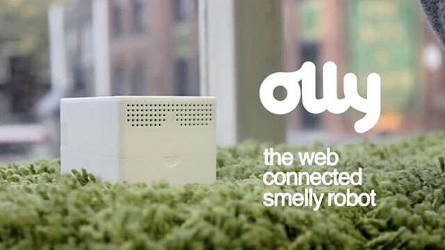 olly_141041169338_640x360.jpg