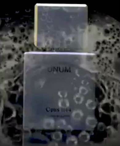 opus 123.jpg opus 123.jpg