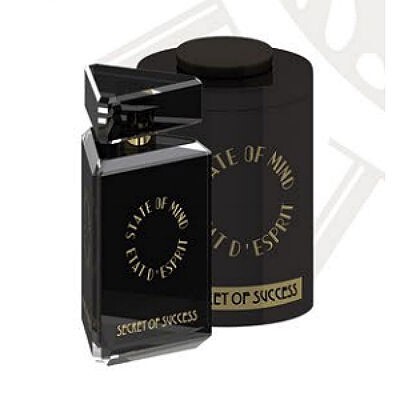 Secret of Success box.jpg