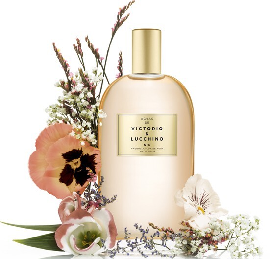 Aguas de Victorio and Lucchino_No 6_poster.jpg