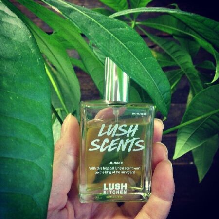 3_Lush_Jungle.jpeg 3_Lush_Jungle.jpeg