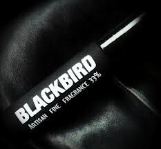 2_Blackbird.jpg