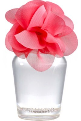 1Addison Sunrise.jpg 1Addison Sunrise.jpg