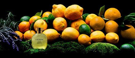 2_L’Etrog Acqua_poster.jpg 2_L’Etrog Acqua_poster.jpg