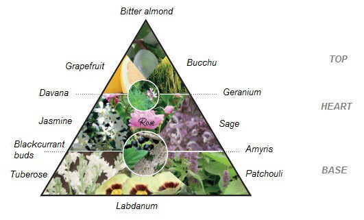 7_4_Parfumeurs Du Monde_Izwe_notes.jpg