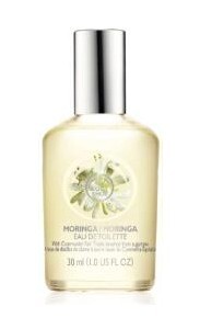3_Moringa.jpg