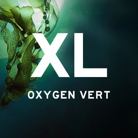 Blood Concept_XL Oxygen Vert_picture.jpg Blood Concept_XL Oxygen Vert_picture.jpg