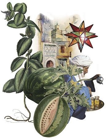 2_Richard Luscher Britos_32 N 08 W_picture.jpg 2_Richard Luscher Britos_32 N 08 W_picture.jpg