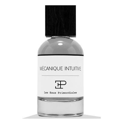 Mecanique Intuitive .jpg