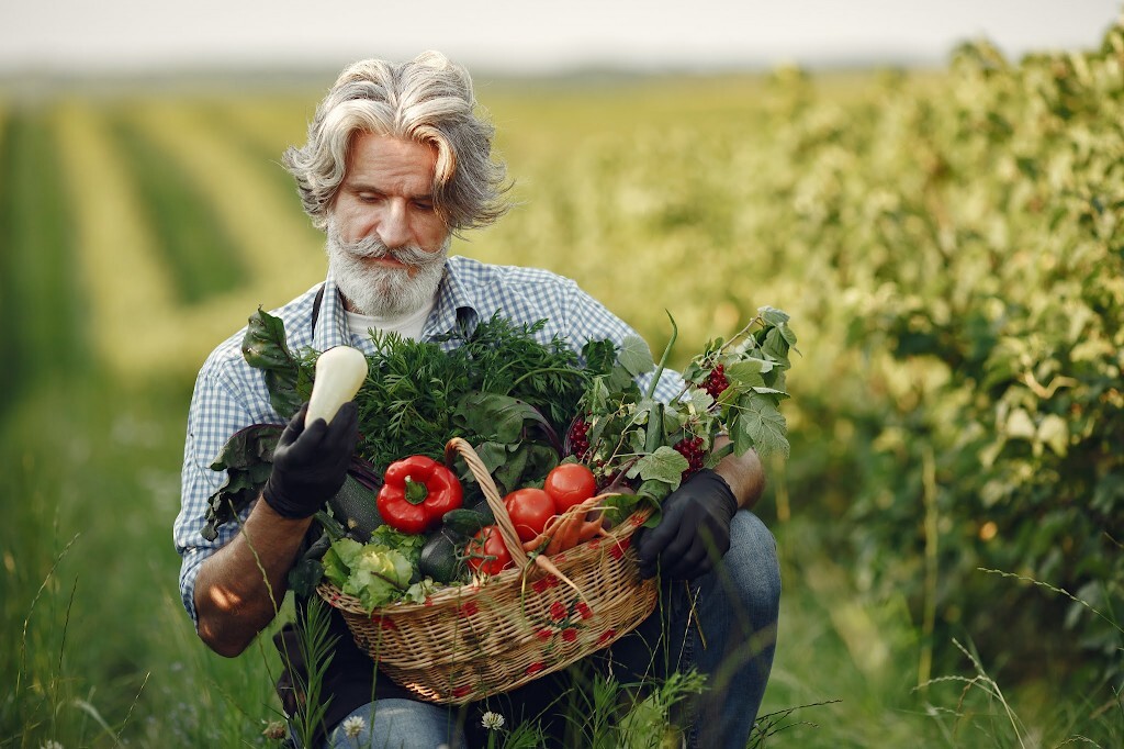 close-up-of-old-farmer-holding-basket-of-vegetables-the-man-is-standing-in-the-garden-senior-in-black-apron.jpg