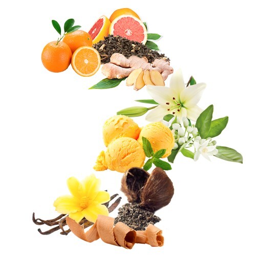 2_Manila Grace Eau Fraiche_notes.jpg