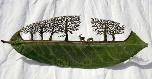 picture_Leaf.jpg