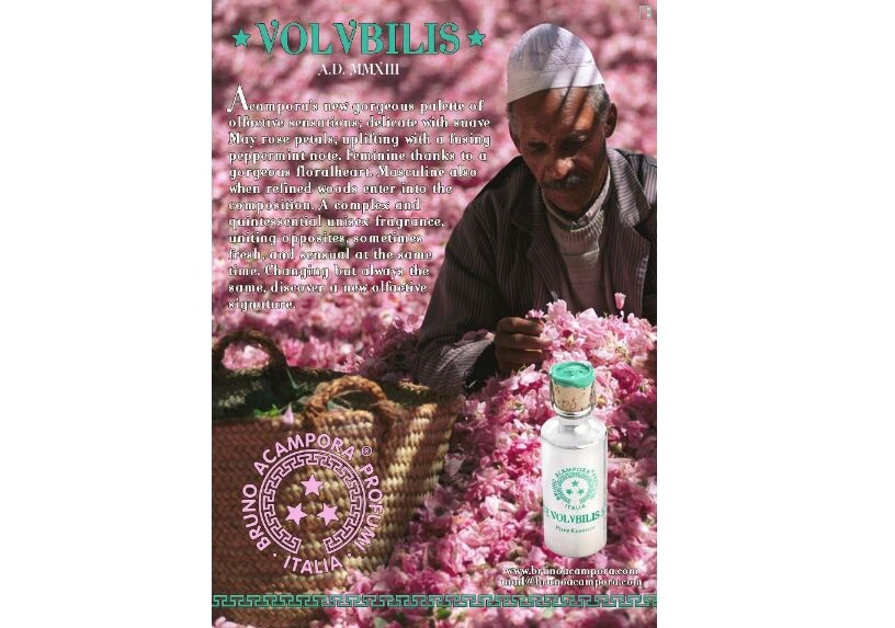 2_Volubilis_picture.jpg 2_Volubilis_picture.jpg