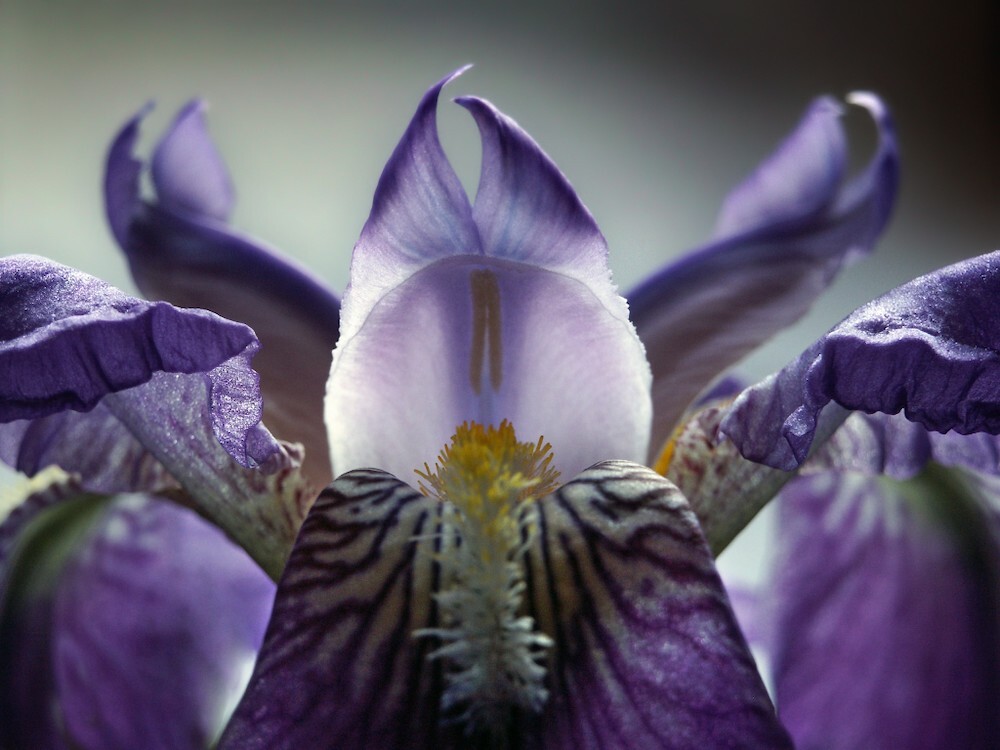 Depositphotos_2481453_xl-2015.jpg