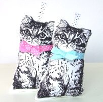 8 - cat-sachet.jpg
