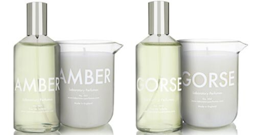 Gorse_Amber.jpg