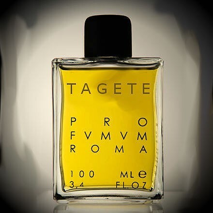 Tagete one.jpg Tagete one.jpg