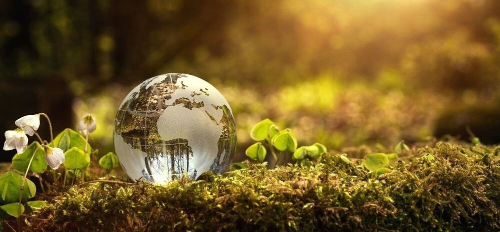 sustainable-supply-chain-quote.jpg.pc-adaptive.full_.mediumNEW.jpg