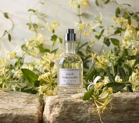 Fresh_Honeysuckle_scent.jpg