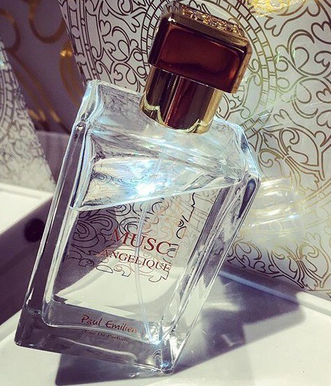 1_Paul Emilien_Musc Angelique_poster.jpg