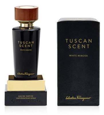 White Mimosa1.jpg White Mimosa1.jpg