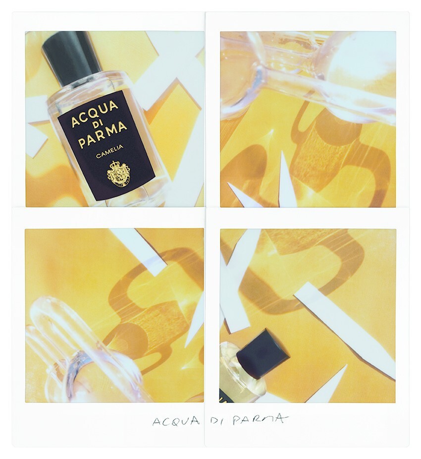 acqua di parma signatures of the sun