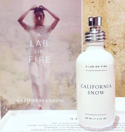 A Lab on Fire_California Snow_photo.jpg