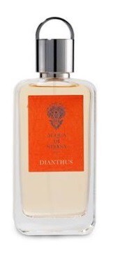 1_Dianthus.jpg 1_Dianthus.jpg