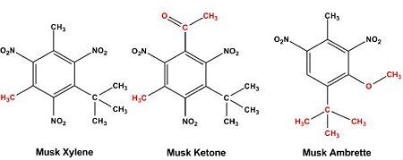musk-2.jpg