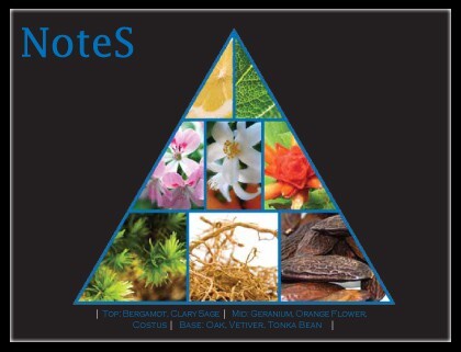 4 - pyramid-notes.jpg 4 - pyramid-notes.jpg