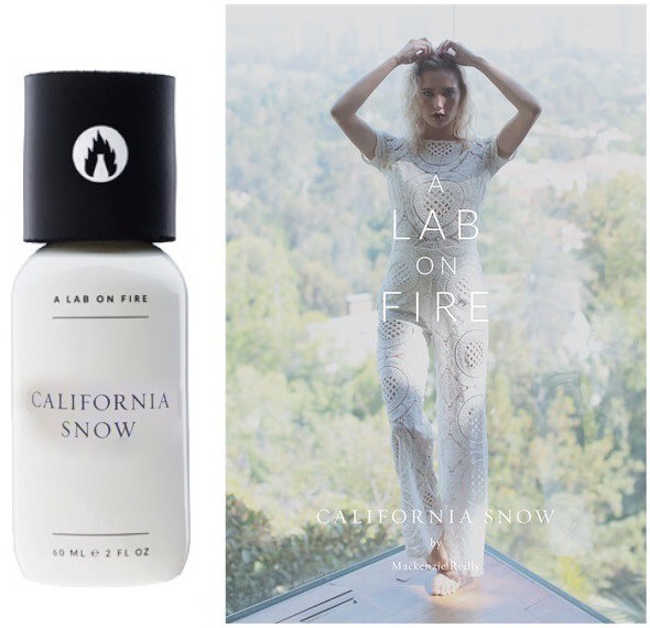 A Lab on Fire_California Snow_poster.jpg