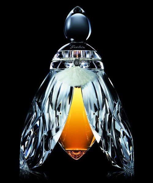 6_L`Abeille Aux Ailes Argent.jpg