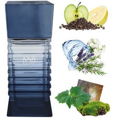 Axis Elegant For Man_notes.jpg