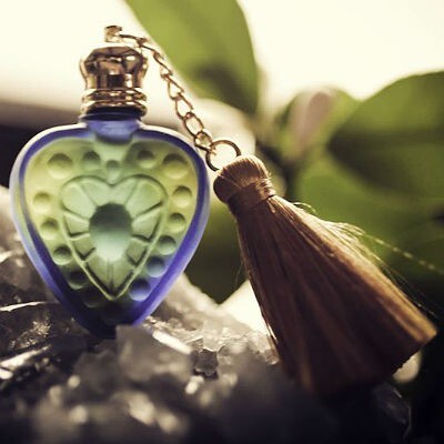 Meyer Lemon Blossom.jpg