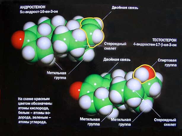 Феромоны – привлекательность во флаконе