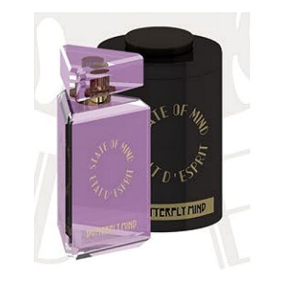 Butterfly Mind box.jpg