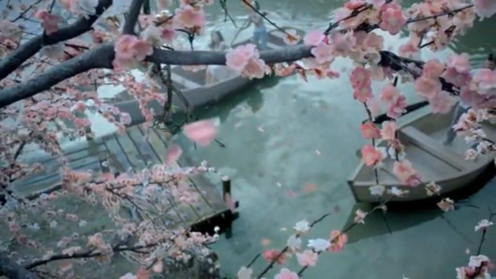 4_picture from video_ for Floratta Cerejeira.jpg 4_picture from video_ for Floratta Cerejeira.jpg