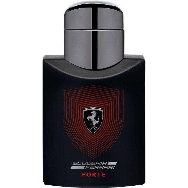 Ferrari_Scuderia Ferrari Forte.jpg