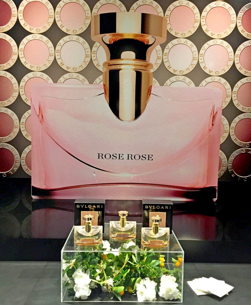 3_Splendida Rose Rose_photo.jpg 3_Splendida Rose Rose_photo.jpg