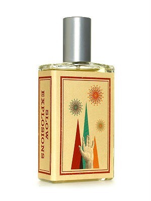 Slow Explosions  .jpg